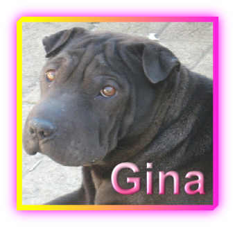 Gina