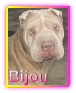 Bijou