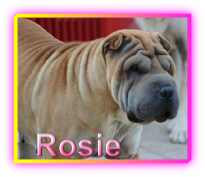Rosie