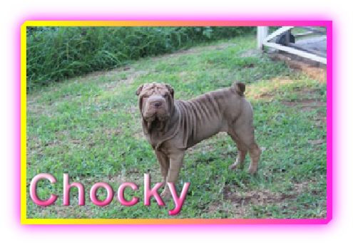 Chocky