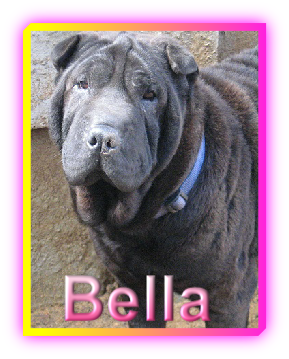 Bella