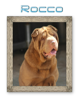 Rocco 