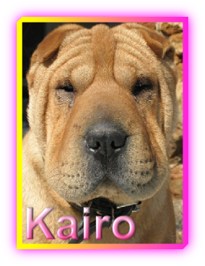 Kairo
