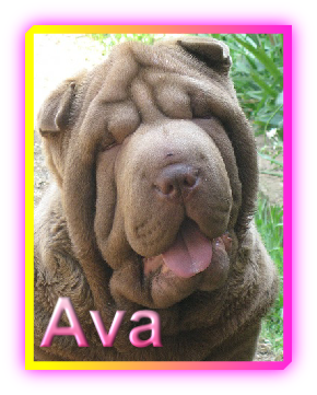 Ava